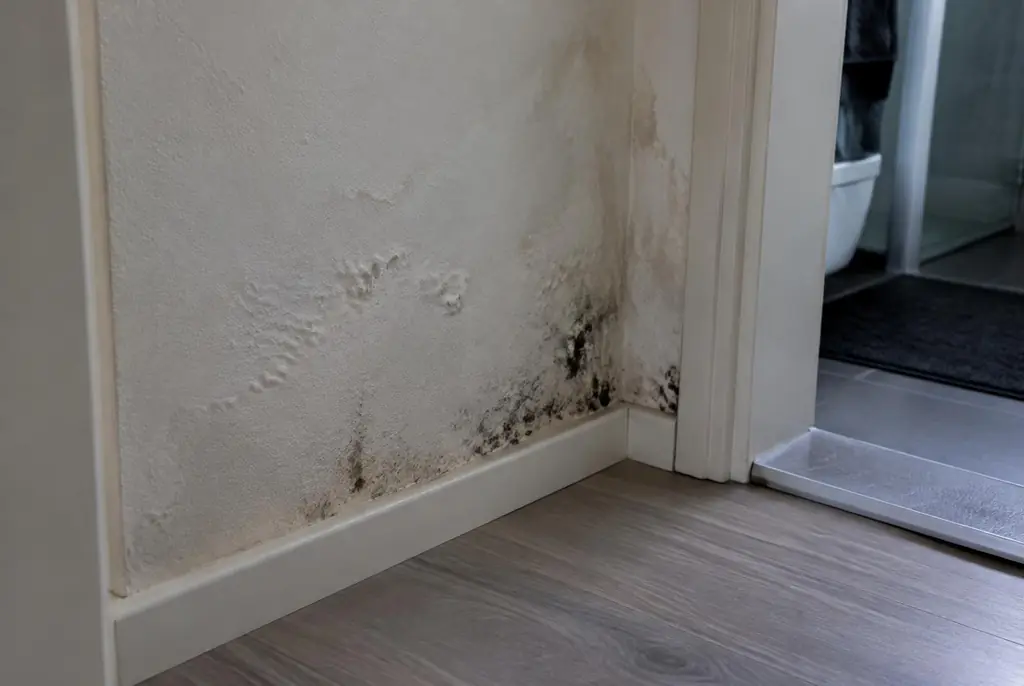 Lekdetectie Gorinchem – vochtplek met schimmel op een muur